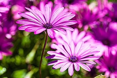 星舰冒险模拟游戏《奥德赛光之越》今日开启抢先体验